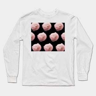 Blush ranunculus - ebony Long Sleeve T-Shirt